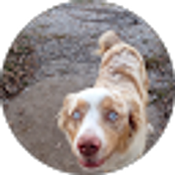 Profile photo of Darin Carter