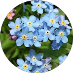 Profile photo of Jo Slaven