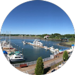 Profile photo of Bill Taylor