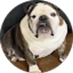 Profile photo of Mitchell Hill