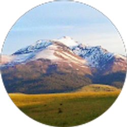 Profile photo of Katie Cary