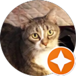 Profile photo of None Ya (Lesco Brandon)