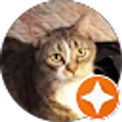 Profile photo of None Ya (Lesco Brandon)