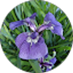 Profile photo of Linda Kozak