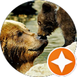 Profile photo of Jackie Derry