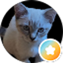 Profile photo of Ni V