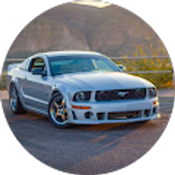 Profile photo of Ronda Roushy