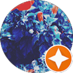 Profile photo of Michelle W.