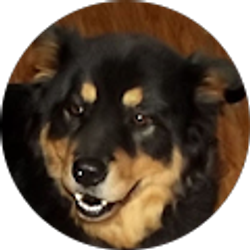 Profile photo of Chopper