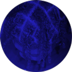 Profile photo of Brian Cook