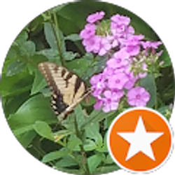 Profile photo of Leatricia Smith