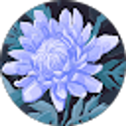 Profile photo of Madison Diaz