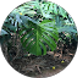 Profile photo of Mac Carr