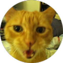 Profile photo of Janene Hols