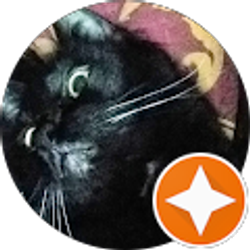 Profile photo of Steve Cuth