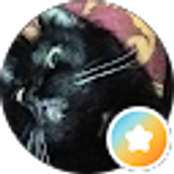 Profile photo of Steve Cuth