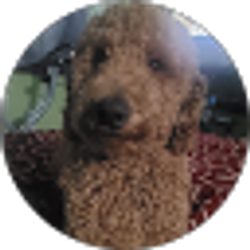 Profile photo of Kimberly Raines
