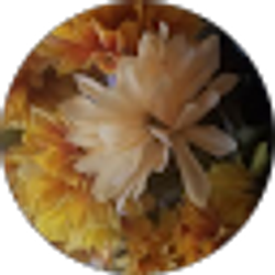 Profile photo of Beba Casillas