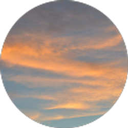 Profile photo of Bryan Salgado