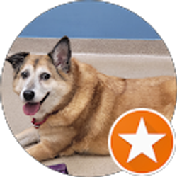 Profile photo of Monica Marquez