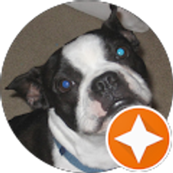 Profile photo of Erick H