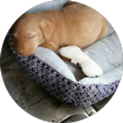 Profile photo of Michael Smith