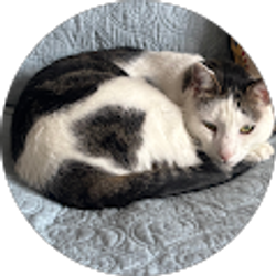 Profile photo of Paige P