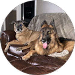 Profile photo of Corbin Weinstein