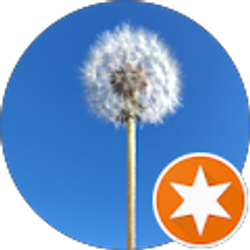 Profile photo of Sangeetha