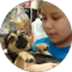 Profile photo of Luis Gualpa