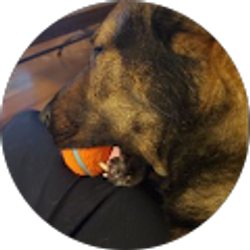 Profile photo of Justin B