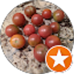 Profile photo of Douglas Thomas Ryddner