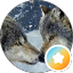 Profile photo of Penny Nenkov