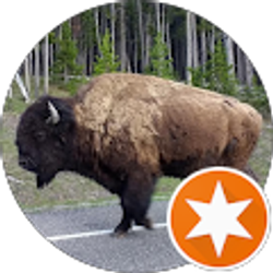 Profile photo of ltjdrich