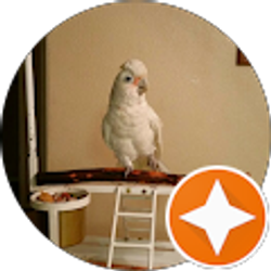 Profile photo of Donald Szychulski