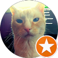 Profile photo of Jeffrey Weunski