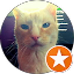 Profile photo of Jeffrey Weunski