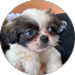 Profile photo of Sergio