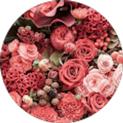 Profile photo of Delaynie Lancaster