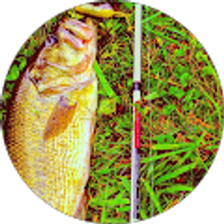 Profile photo of Austin Coalson