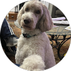 Profile photo of Connie Martin