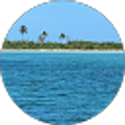 Profile photo of Robin LaRosa