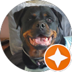 Profile photo of James Doolittle