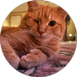 Profile photo of Carlos Sanchez