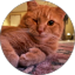Profile photo of Carlos Sanchez