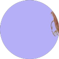 Profile photo of Matthew McGrory