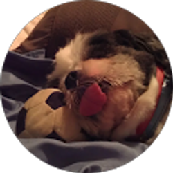 Profile photo of Silvana