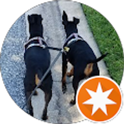 Profile photo of M Strout