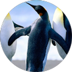 Profile photo of jhonjptbjptb