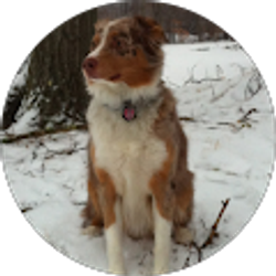 Profile photo of Kyle Nettland